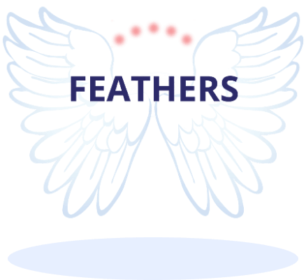 Feathers Logo