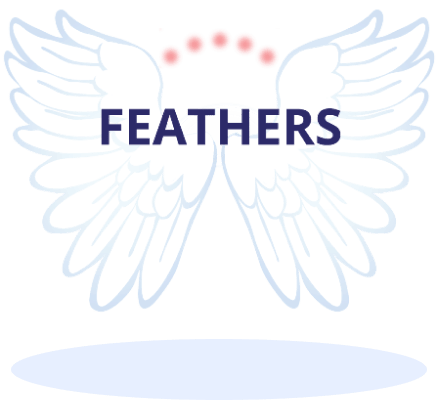 Feathers Feathers Logo